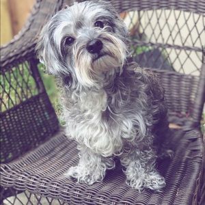 Meet your Posher, Steven